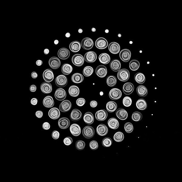 2018_31_spiralcircles