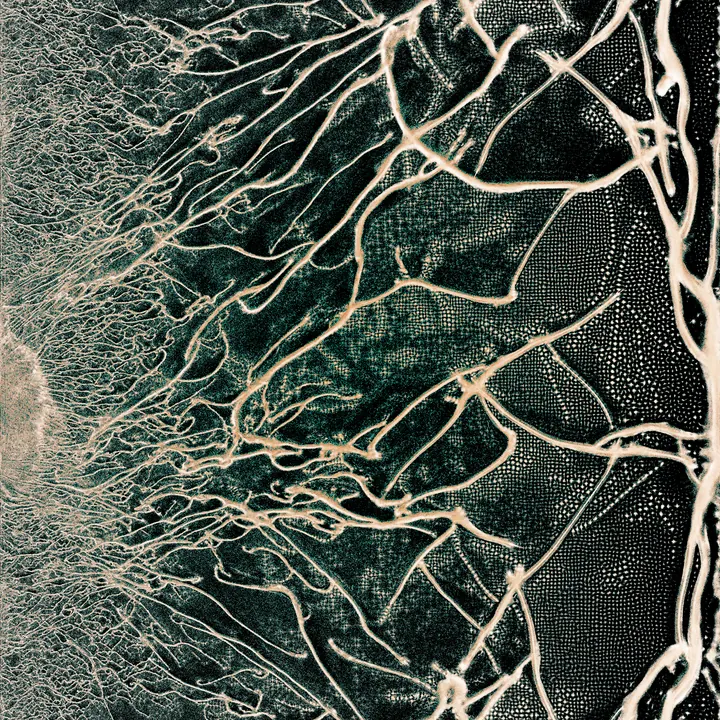 physarum gallery sample
